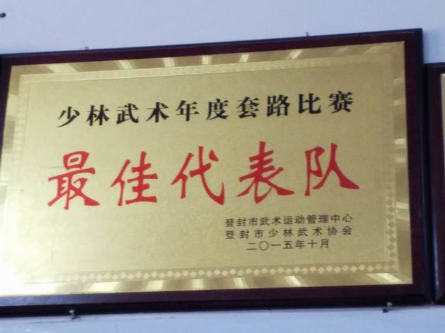 少年武術年度套路比賽最佳代表隊